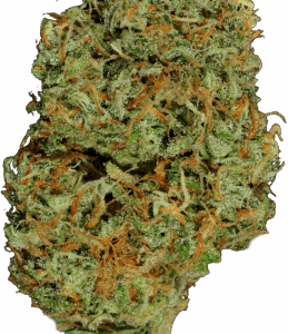 White Widow